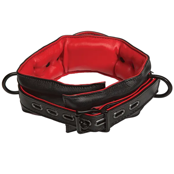 Restraints Kink Kink Leather Handlers Collar