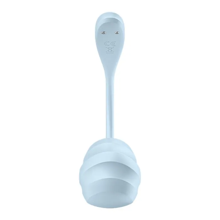 Vibrators Satisfyer Satisfyer Smooth Petal Light Blue