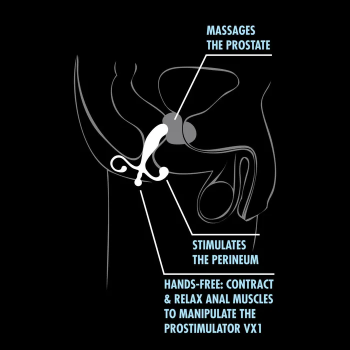 Anal Blush Anal Adventures By Blush Prostate Stimulator Black 5Inch Anal Plug