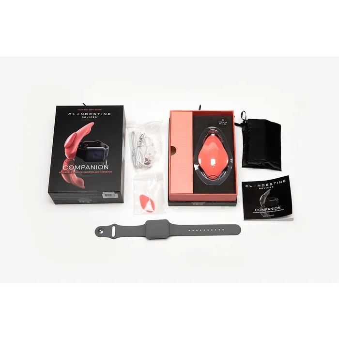 Vibrators Clandestine Devices Companion Panty Vibe