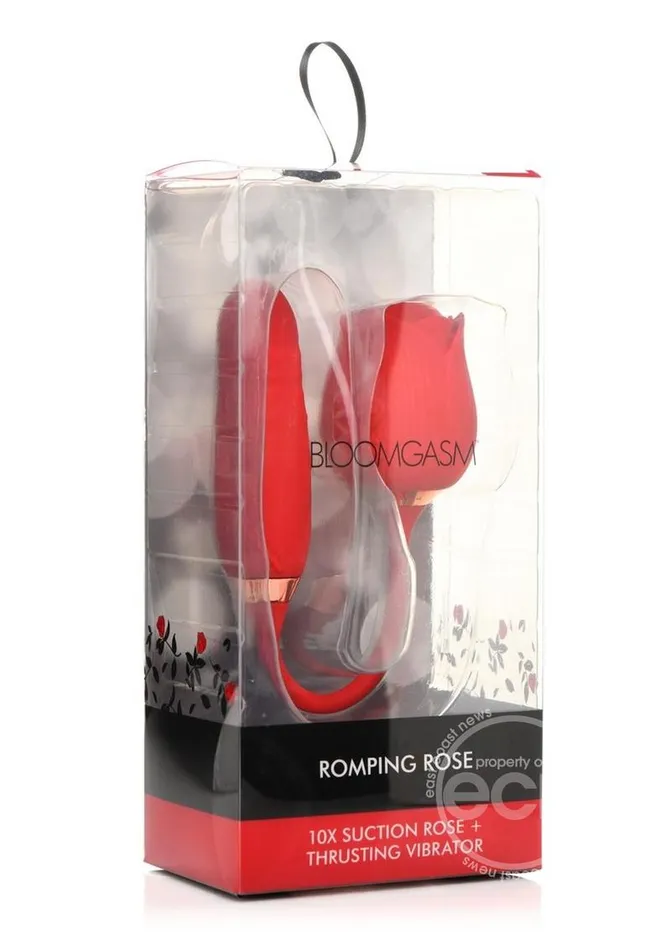 Rose Clit Stimulator Vibrating Egg Red Playthings Vibrators