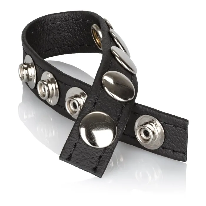 CalExotics Male Sex Toys Leather MultiSnap Ring CalExotics Male Sex Toys Leather MultiSnap Ring