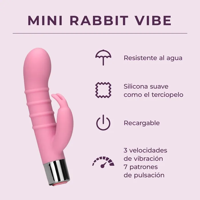 Pure Romance By ValGina Vibrators Mini Rabbit Vibe NEW