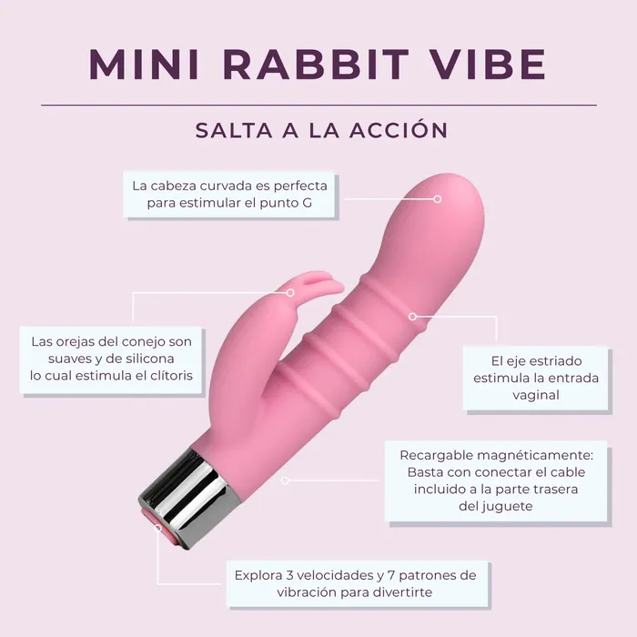 Pure Romance By ValGina Vibrators Mini Rabbit Vibe NEW