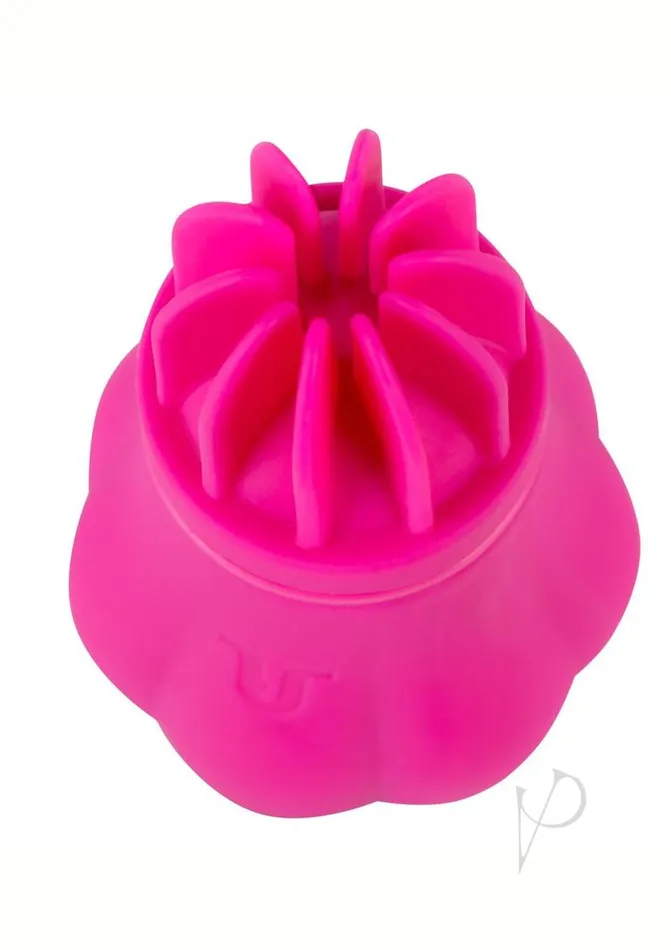 Adrien Lastic Vibrators Caress Pinkdisc