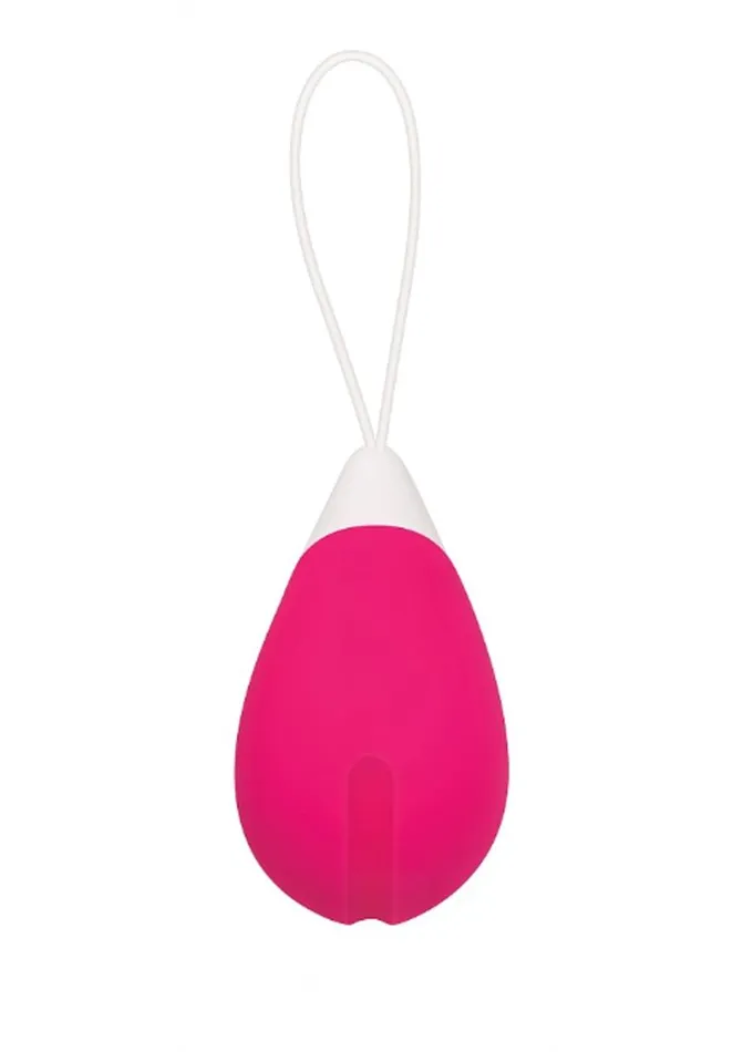 Evolved Vibrators Rechargeable Egg Pink